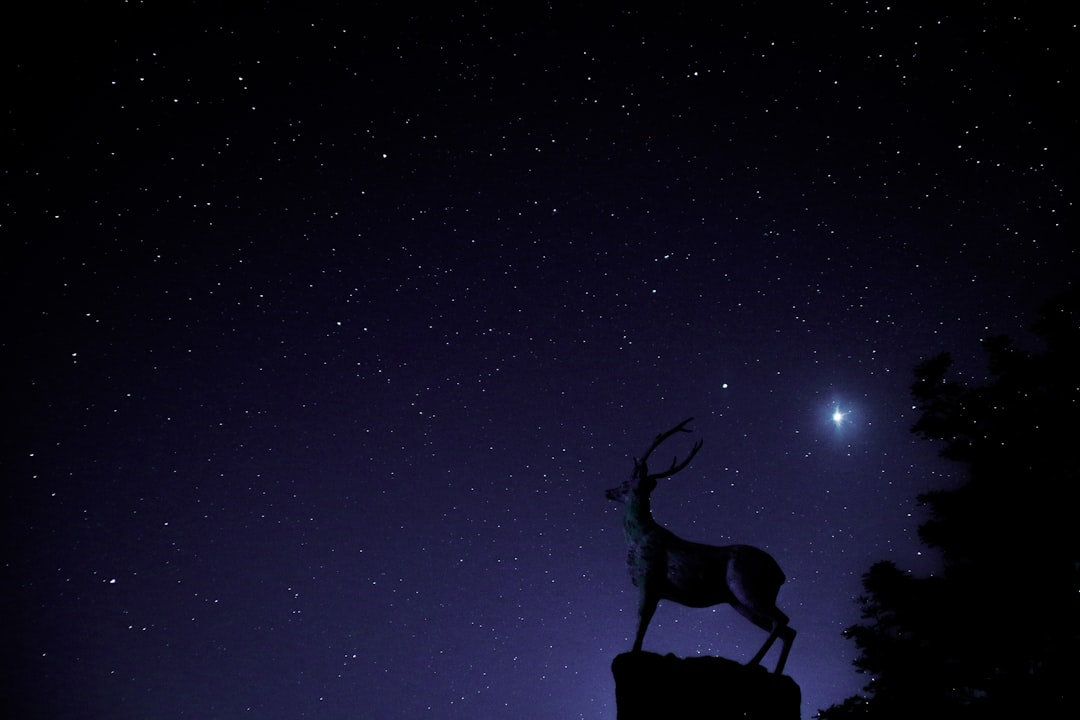 Mapping Day and Night Energies by Signs (Image Credits: Unsplash)
