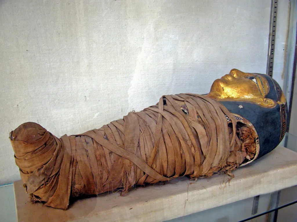 10. Child Mummies Preserved As Curiosities (dgjarvis10@gmail.com, Flickr, CC BY-SA 2.0)