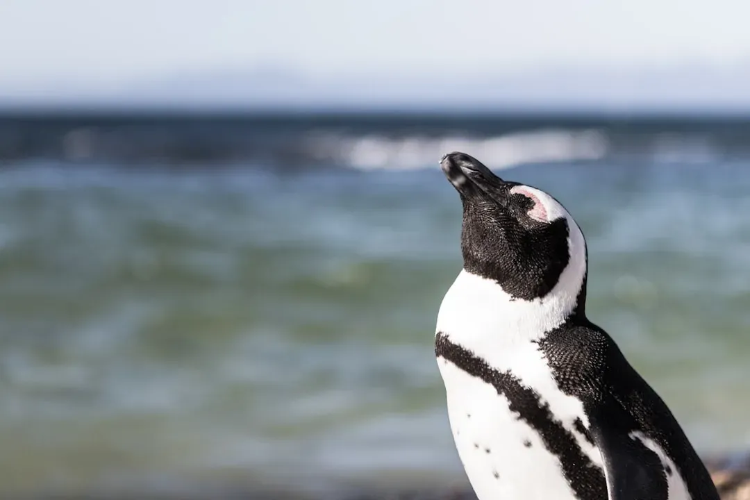 10. Their Sense of Smell and Hearing Matter More Than Most People Assume (Image Credits: Unsplash)