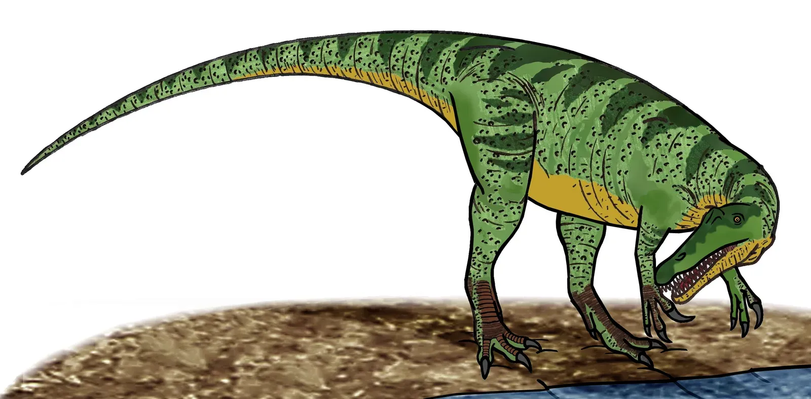 #2 - Baryonyx: The Killer Known From One Terrifying Claw (By Conty, CC BY-SA 4.0)