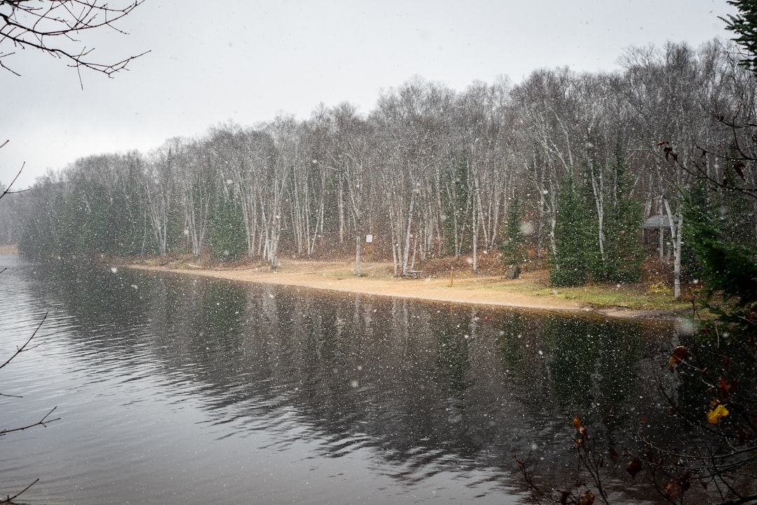 On the Edge: Cancer, Pisces, Libra, and Gemini in Wild Spaces (Image Credits: Unsplash)