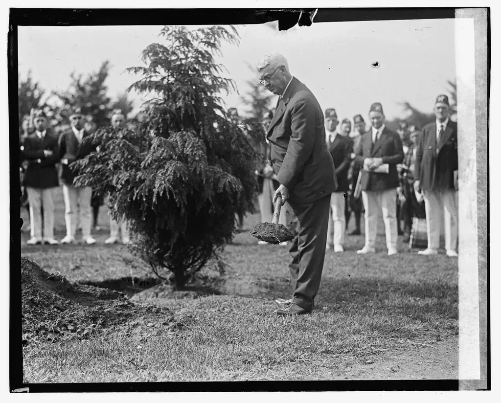 Smart Immunity: How Plants “Remember” Attacks and Respond Faster (Image Credits: Rawpixel)