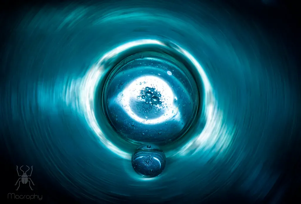 Where Did This Wild Idea Come From? (Macrophy (Grant Beedie), Flickr, CC BY-SA 2.0)