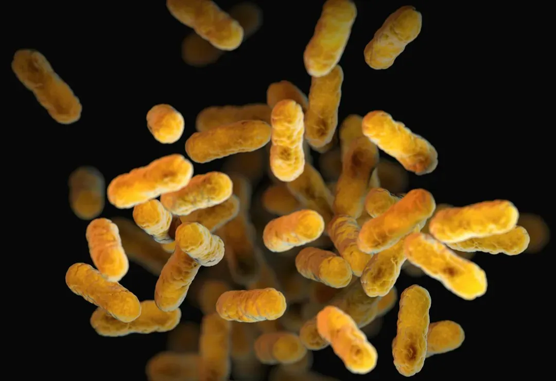 The Role of Microbes in Food and Fermentation (Image Credits: Unsplash)