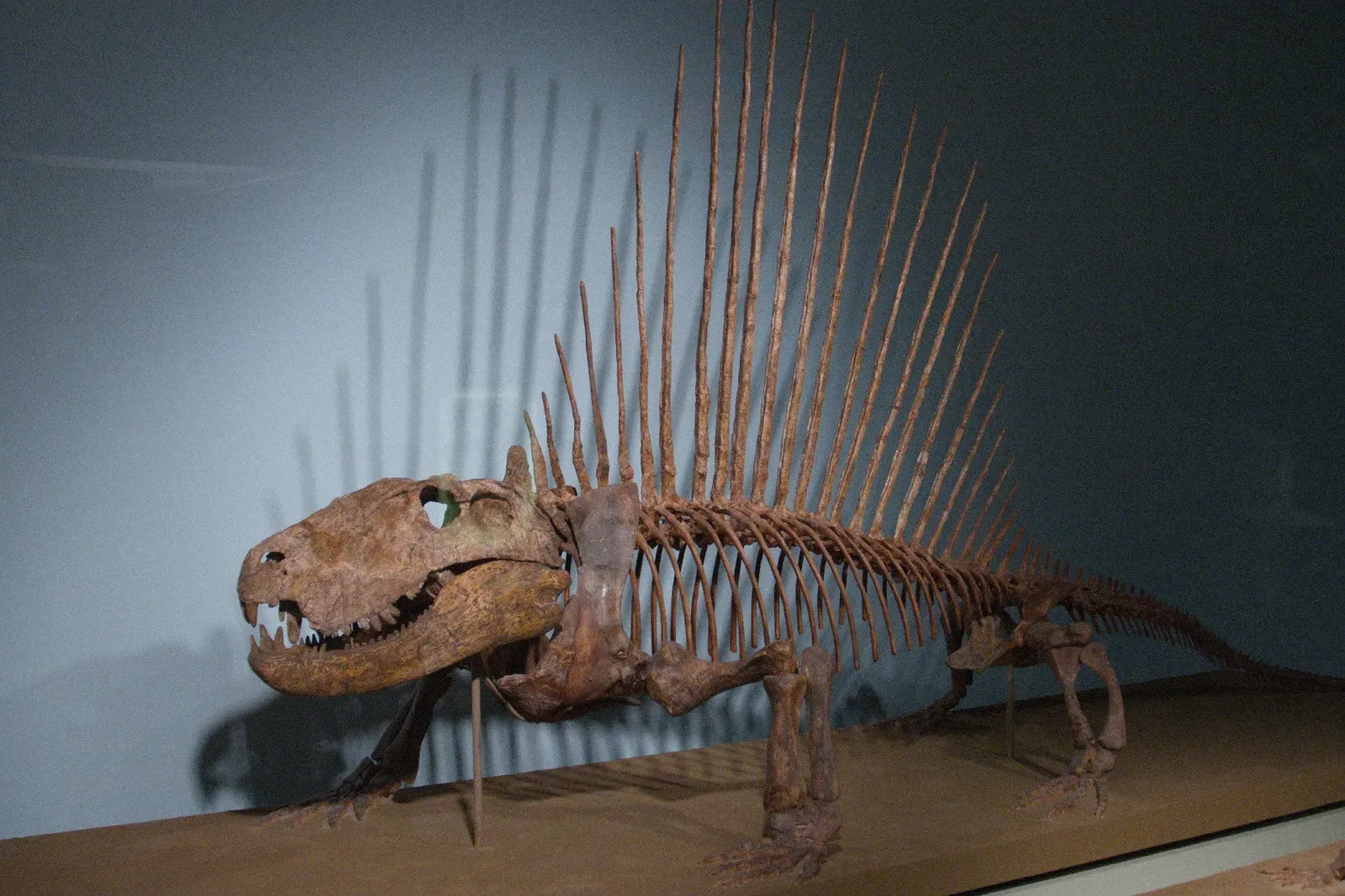 Prehistoric Totems: Dinosaurs, Synapsids, and Alien Creatures as Signs (By Amphibol, CC BY-SA 4.0)