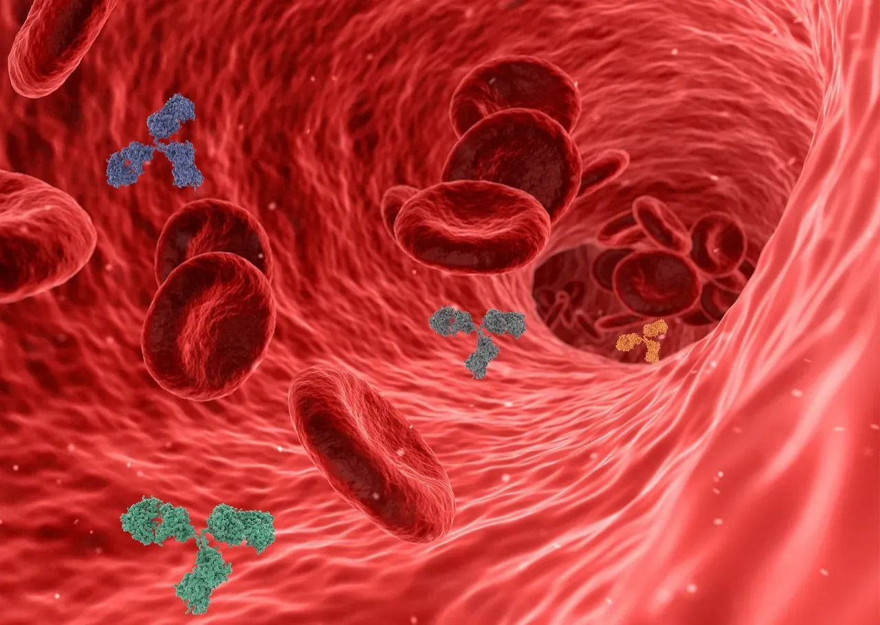 Your Blood: A River That Never Stops Being Replaced (Image Credits: Pixabay)