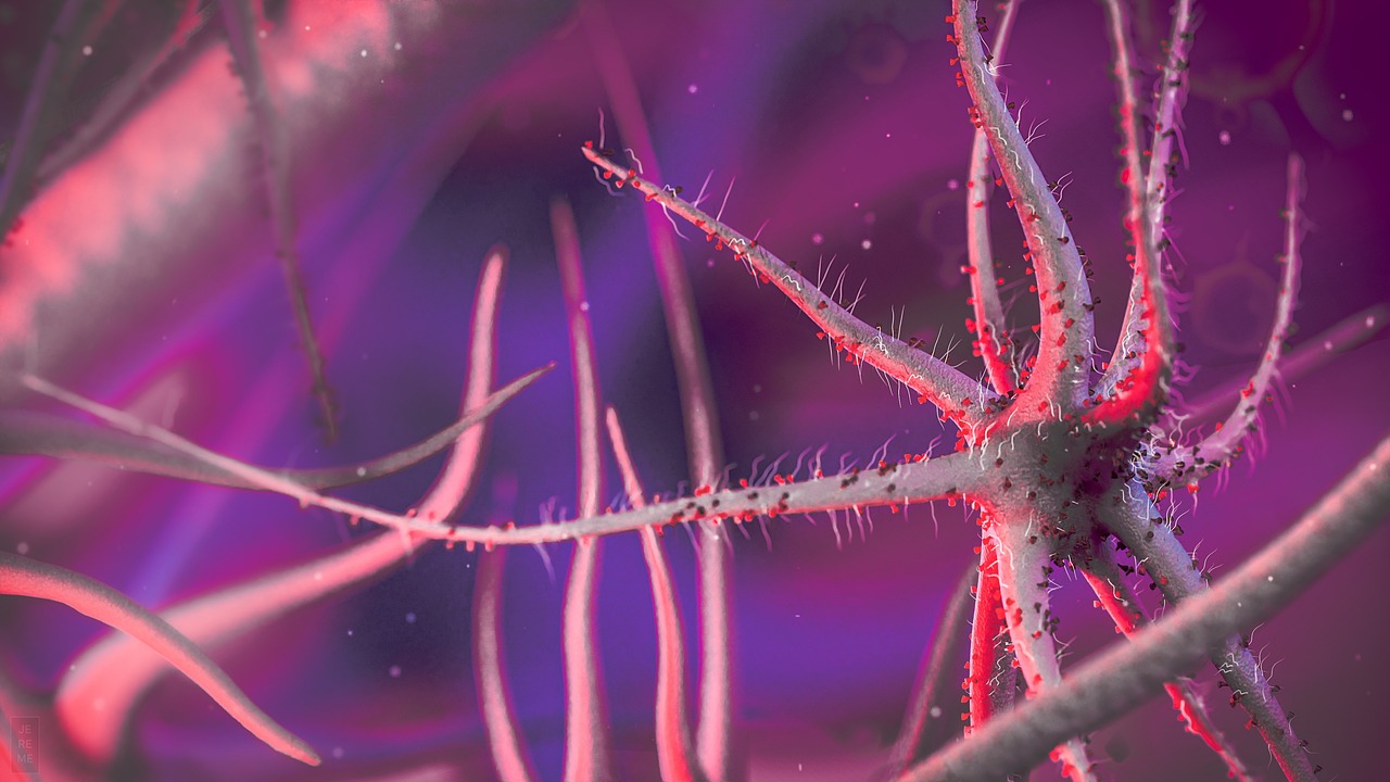 Implications for Astrobiology and Extraterrestrial Life (Image Credits: Pixabay)