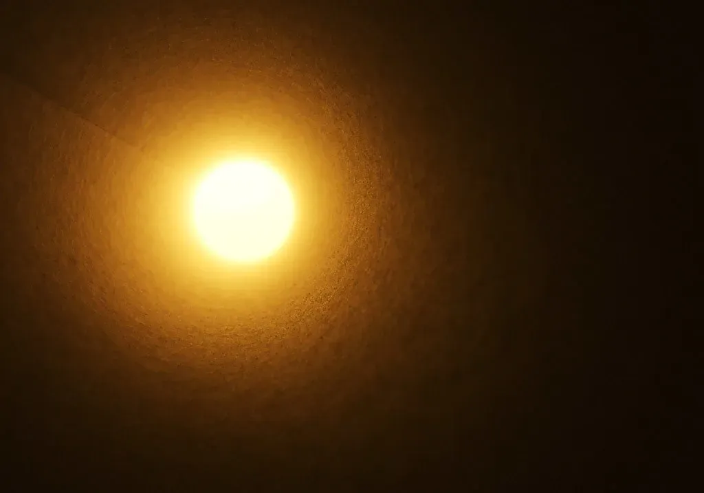 Light, Tunnels, and the Architecture of the Visual System (ToastyKen, Flickr, CC BY 2.0)