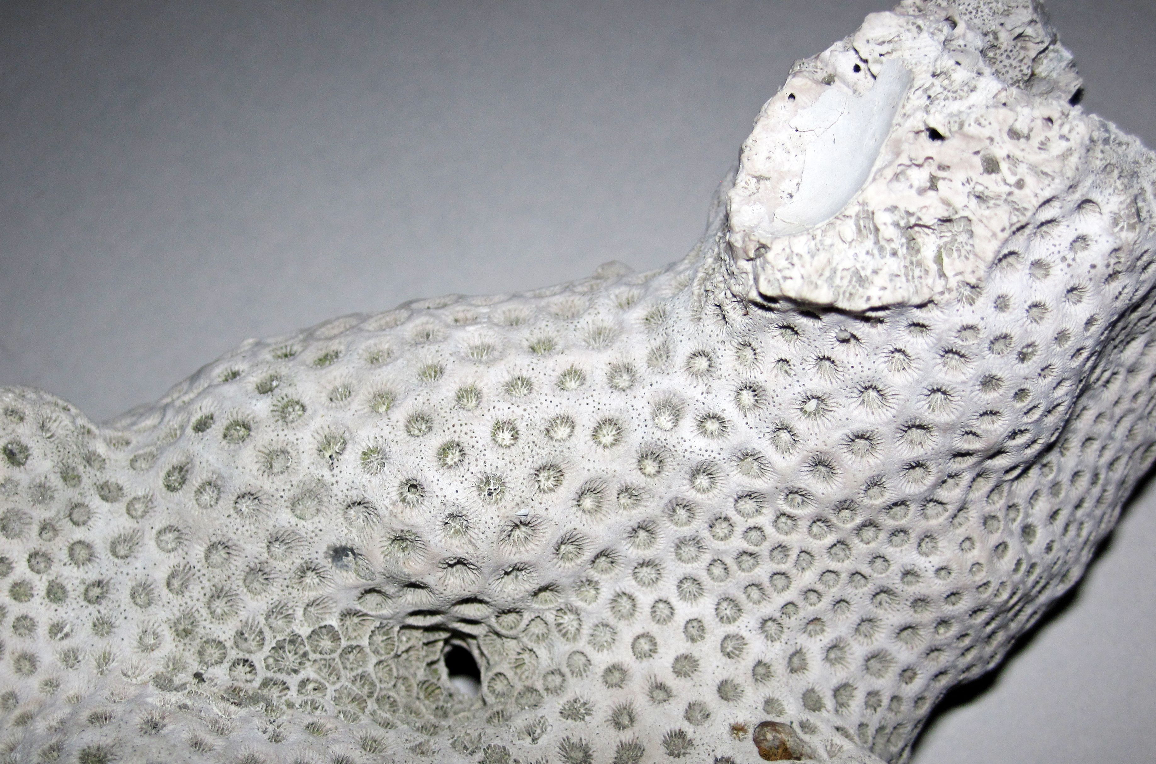 Lessons from Ancient Catastrophes (Image Credits: Wikimedia)