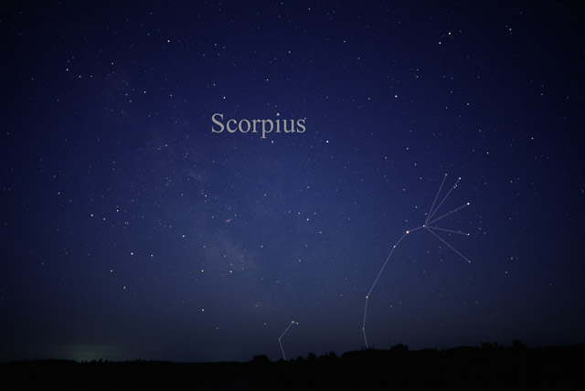 Scorpius: The Summer Scorpion's Spectacular Display (Image Credits: Wikimedia)