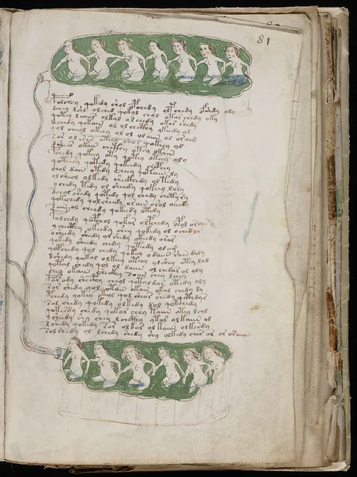 #7 The Voynich Manuscript: A Book Without A Language (Image Credits: Flickr)