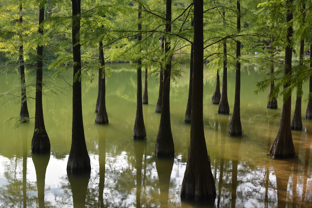 Water, Salinity, and the Quiet Physics (Image Credits: Unsplash)