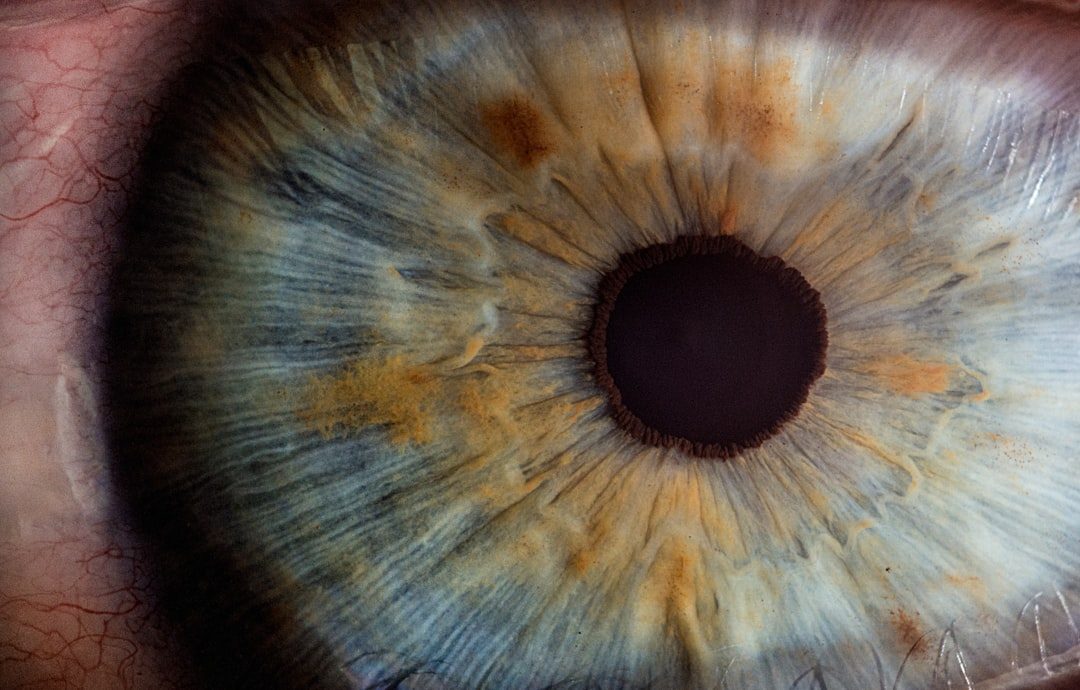 Your Eyes Are Made Up of Over 2 Million Working Parts (Image Credits: Unsplash)