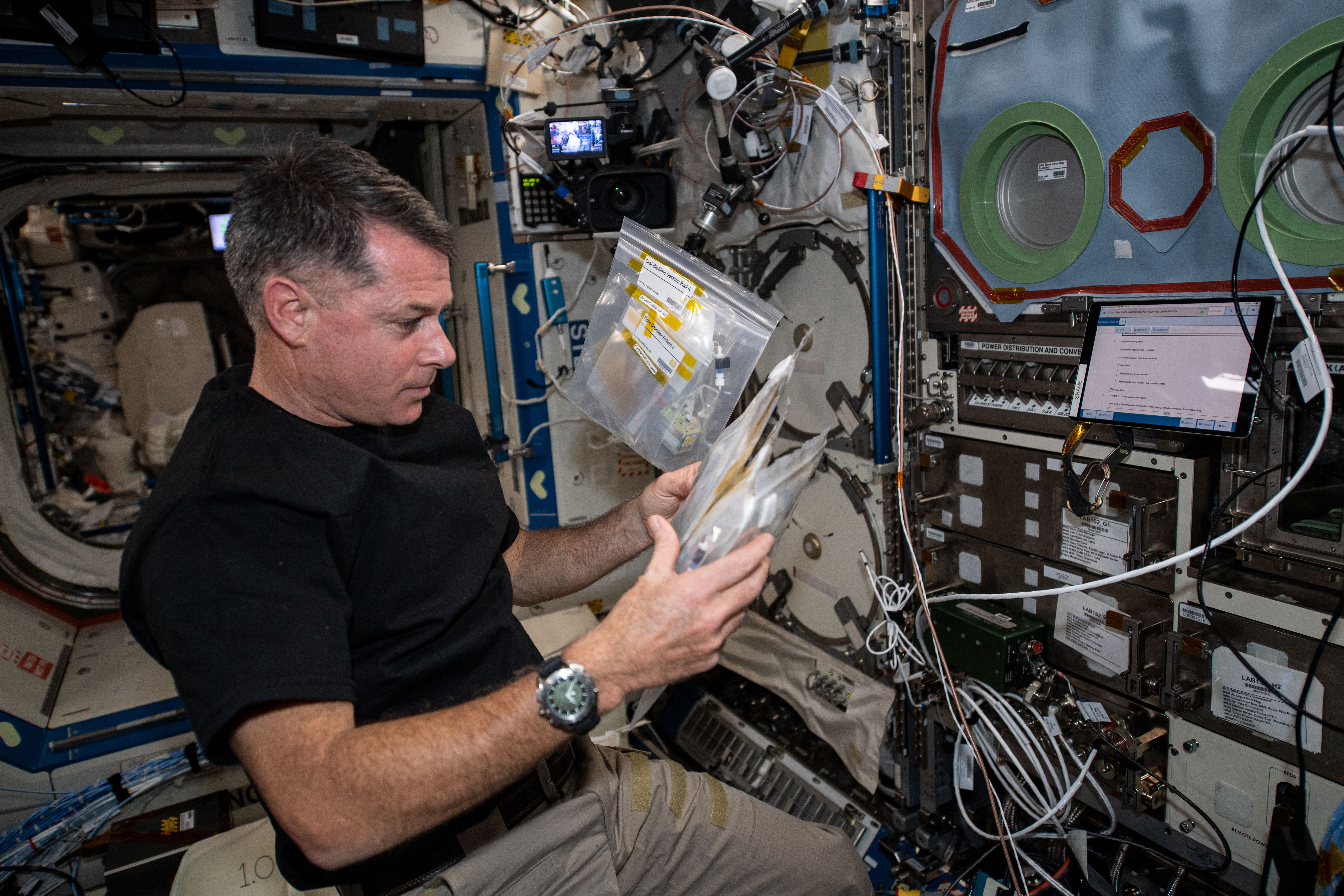 Biofilm Formation in Microgravity Environments (Image Credits: Wikimedia)