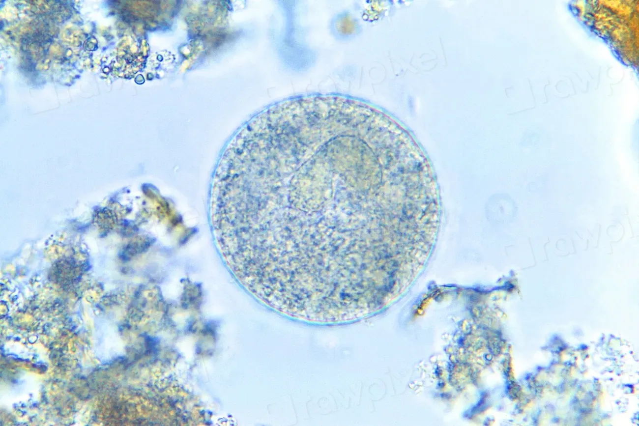 The Secret Army Working For You 24/7 (Image Credits: Rawpixel)