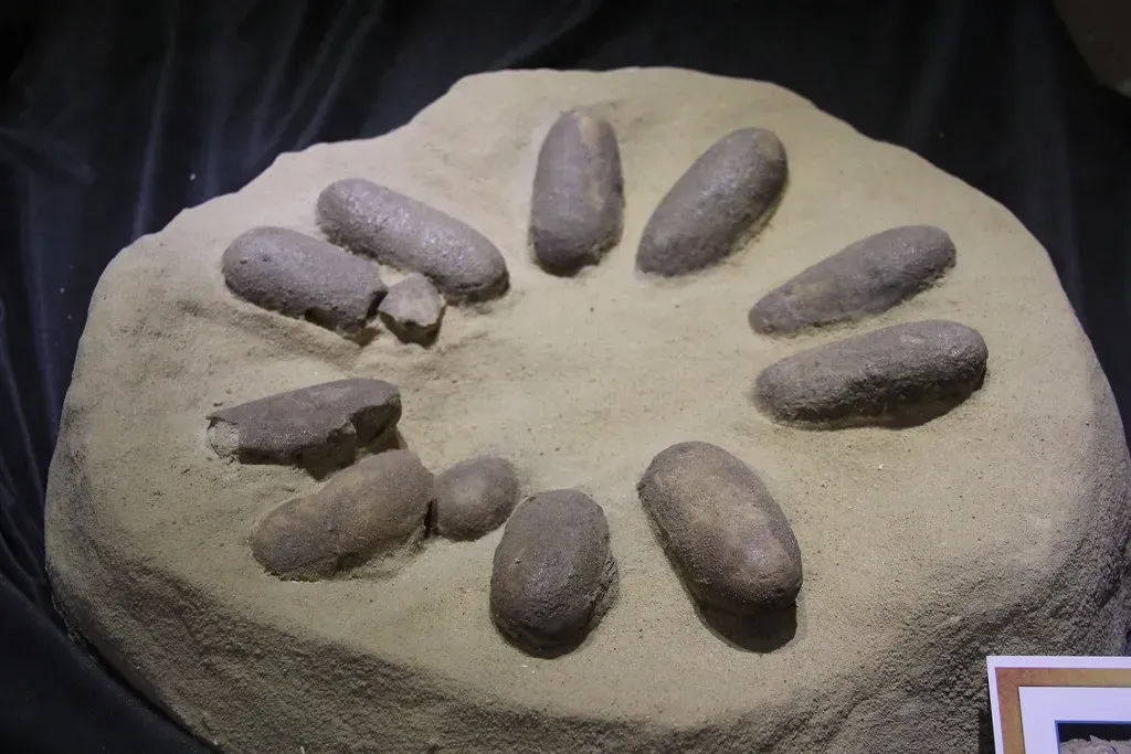 Dinosaur Families: Nests, Eggs, and Surprising Parenting (Image Credits: Flickr)