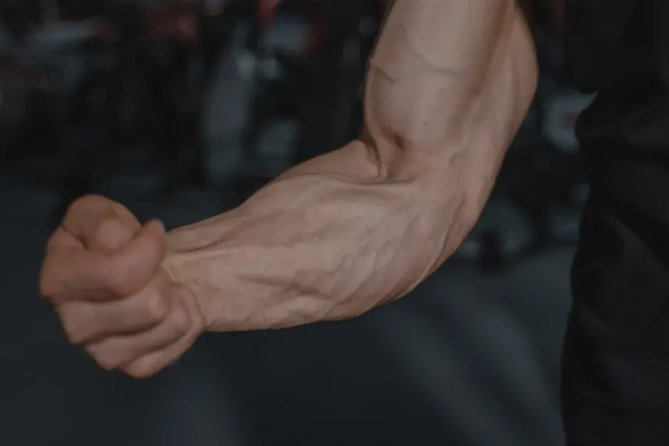 Why You Cannot Regrow an Arm (Yet) (Image Credits: Pexels)