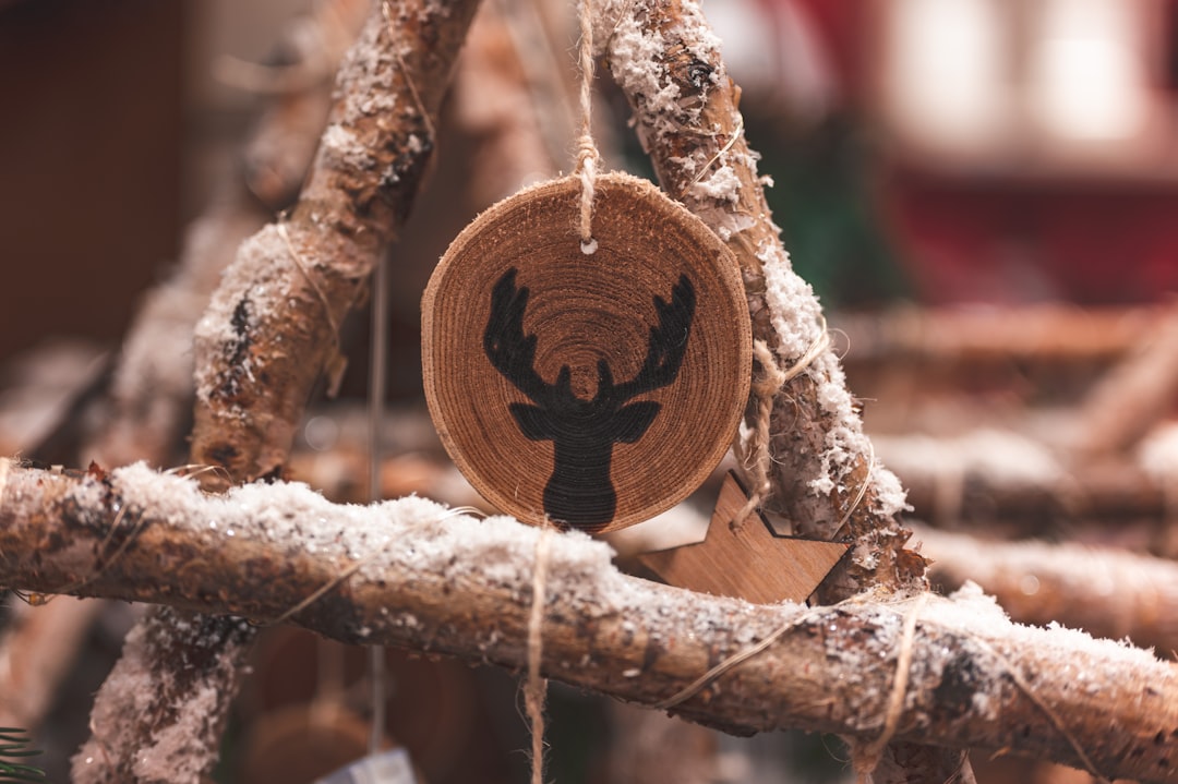 Winter Signs: Capricorn, Aquarius, Pisces (Image Credits: Unsplash)