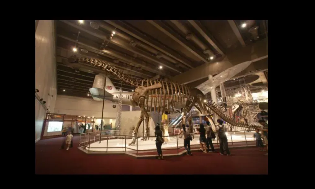 #6 Nurosaurus Mounted Skeleton (Image Credits: Image: Giloun at English Wikipedia, Public domain, via Wikimedia Commons)