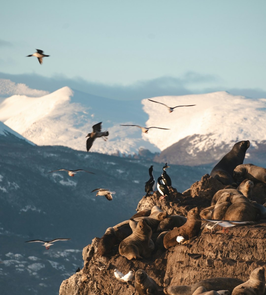 The Future Landscape (Image Credits: Unsplash)