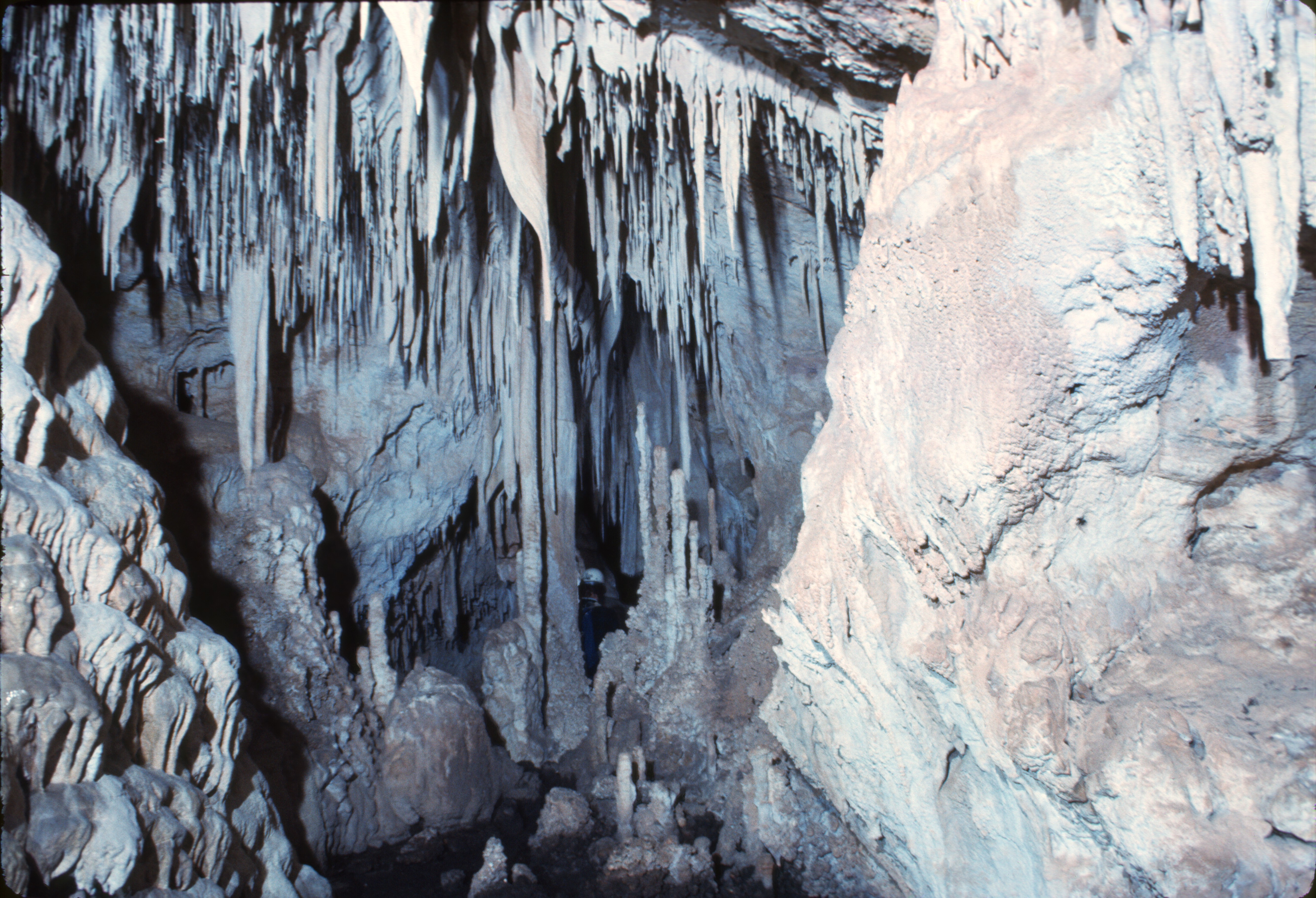 Aquarius: Innovation in Untouched Environments (Image Credits: Wikimedia)