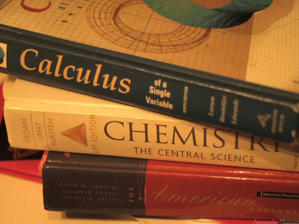 #10 - Calculus Was Never a Single Lightning Strike (flickr./com/photos/amanda_munoz, Flickr, CC BY 2.0)