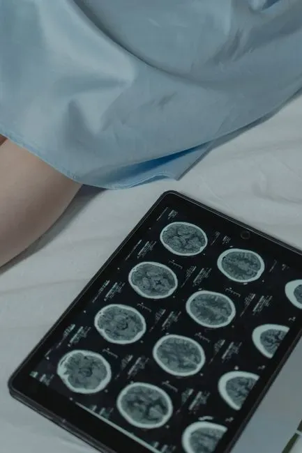 Reviving the “Dead” Brain: What Organ Preservation Experiments Hint At (Image Credits: Pexels)