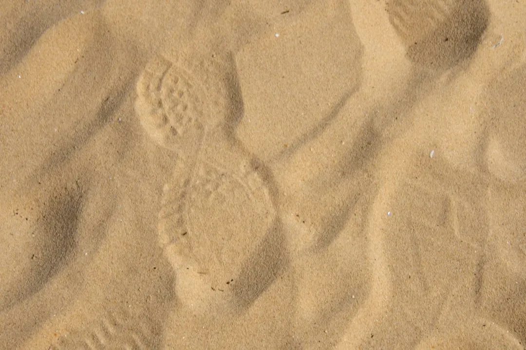 #2 - The "First Footsteps" in Untouched Terrain (Image Credits: Unsplash)