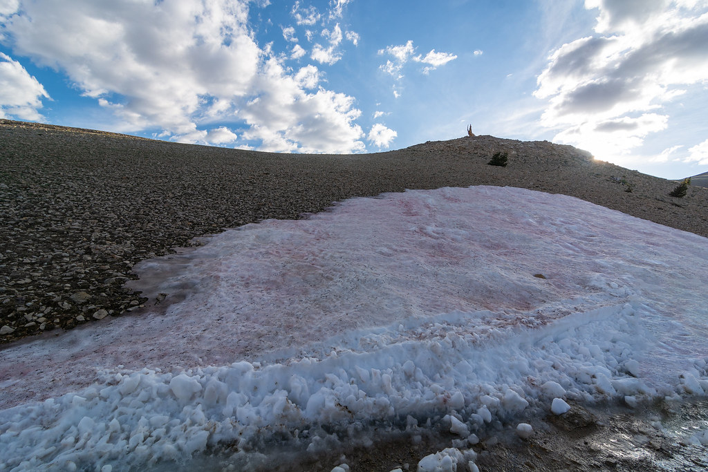 The Climate Change Connection (Image Credits: Flickr)