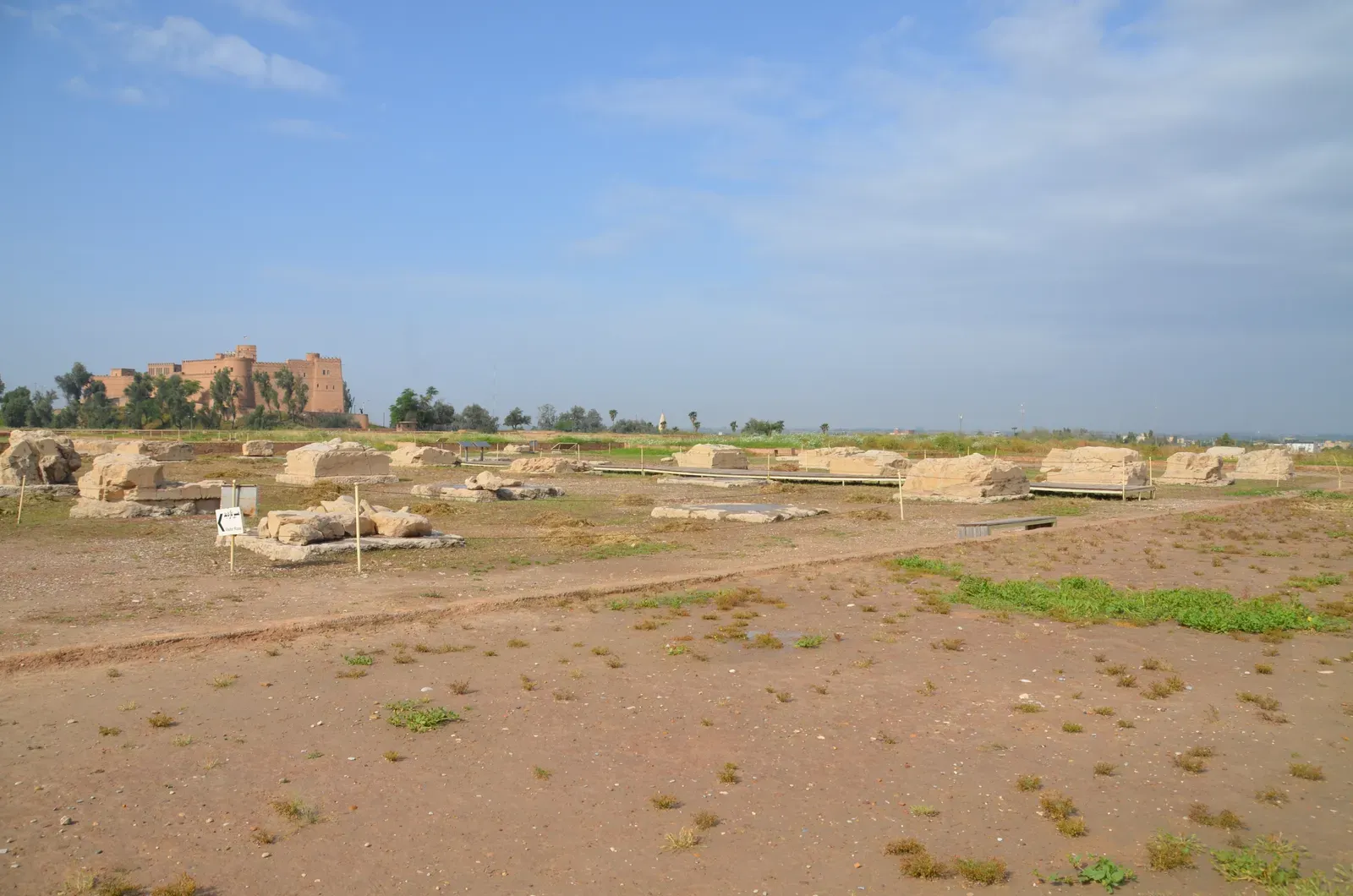 #12 Susa, Iran – Capital, Ruined Platform, Then Capital Again (The Apadana, a large hypostyle room of 36 columns in the Palace of Darius, Susa, capital of Elam and of the Achaemenid Empire, Iran, CC BY-SA 2.0)