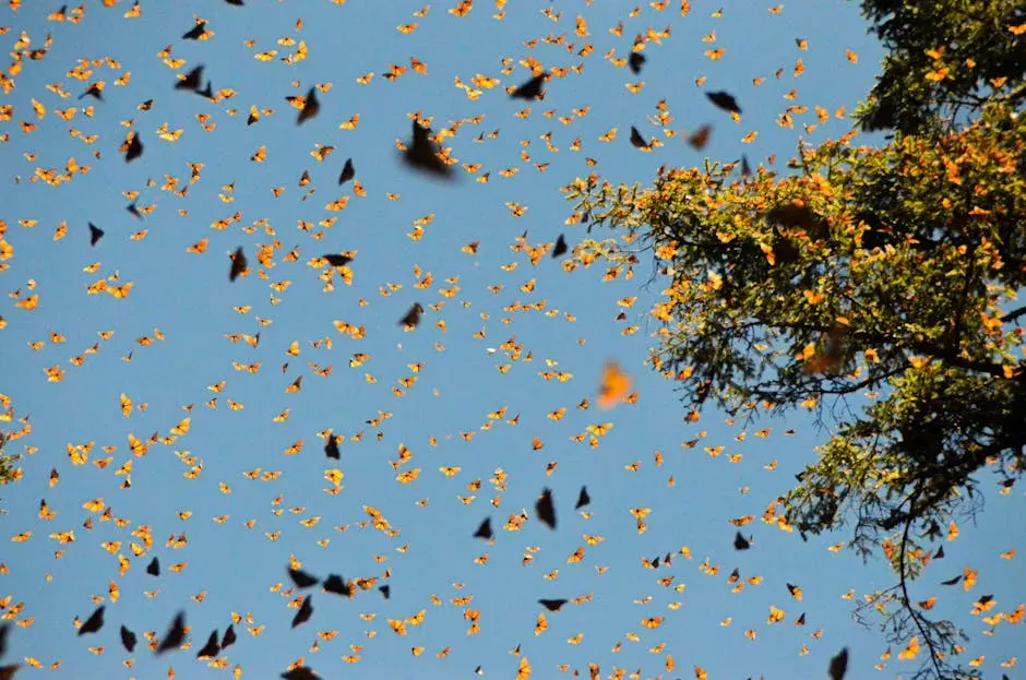 The Monarch Butterfly: A Living GPS Made of Gossamer Wings (Image Credits: Pexels)