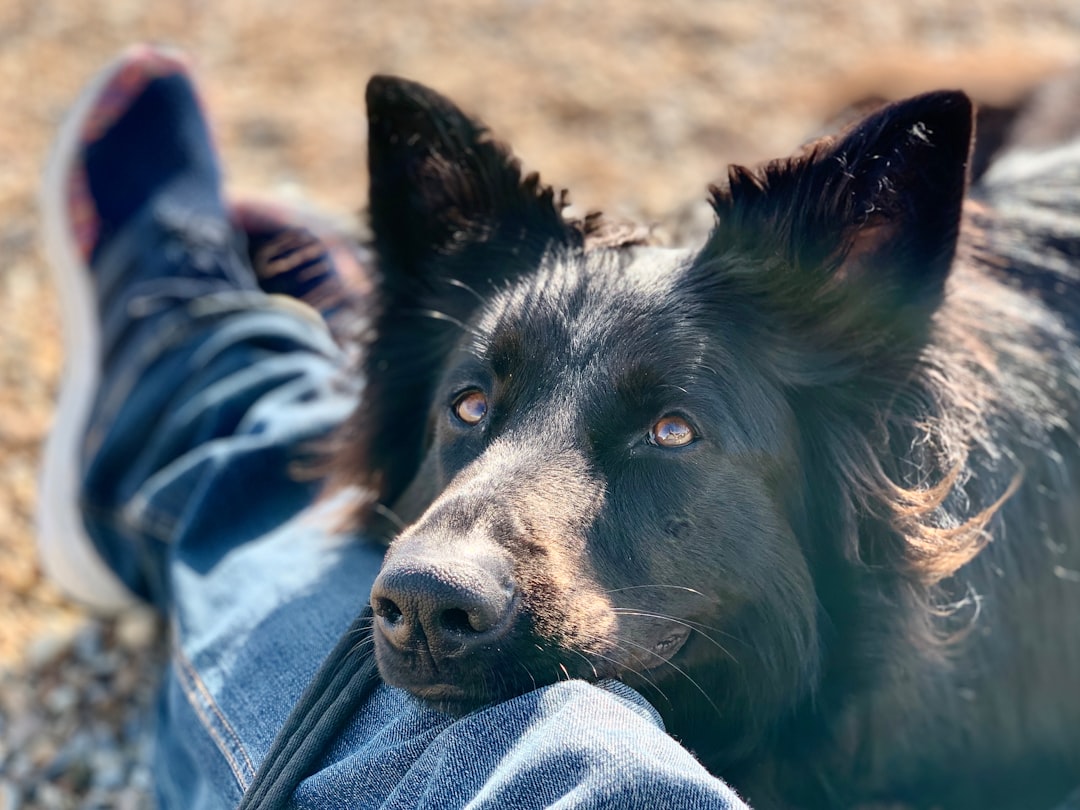 Why It Matters (Image Credits: Unsplash)