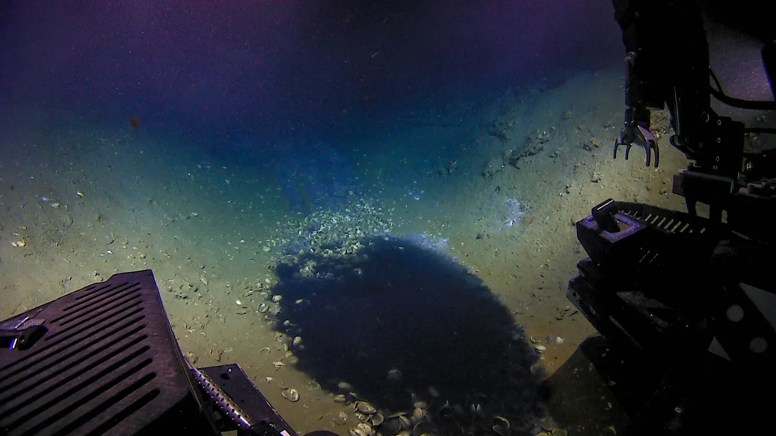 Underwater Brine Pools: The Ocean's Own Deadly Lakes (By Image courtesy of the NOAA Office of Ocean Exploration and Research., Public domain)