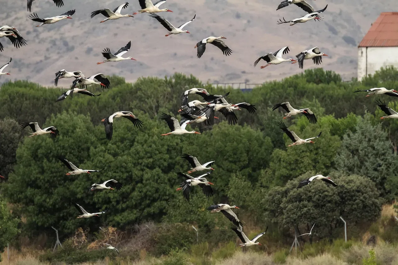 The Ultimate Navigation Challenge (Image Credits: Pixabay)