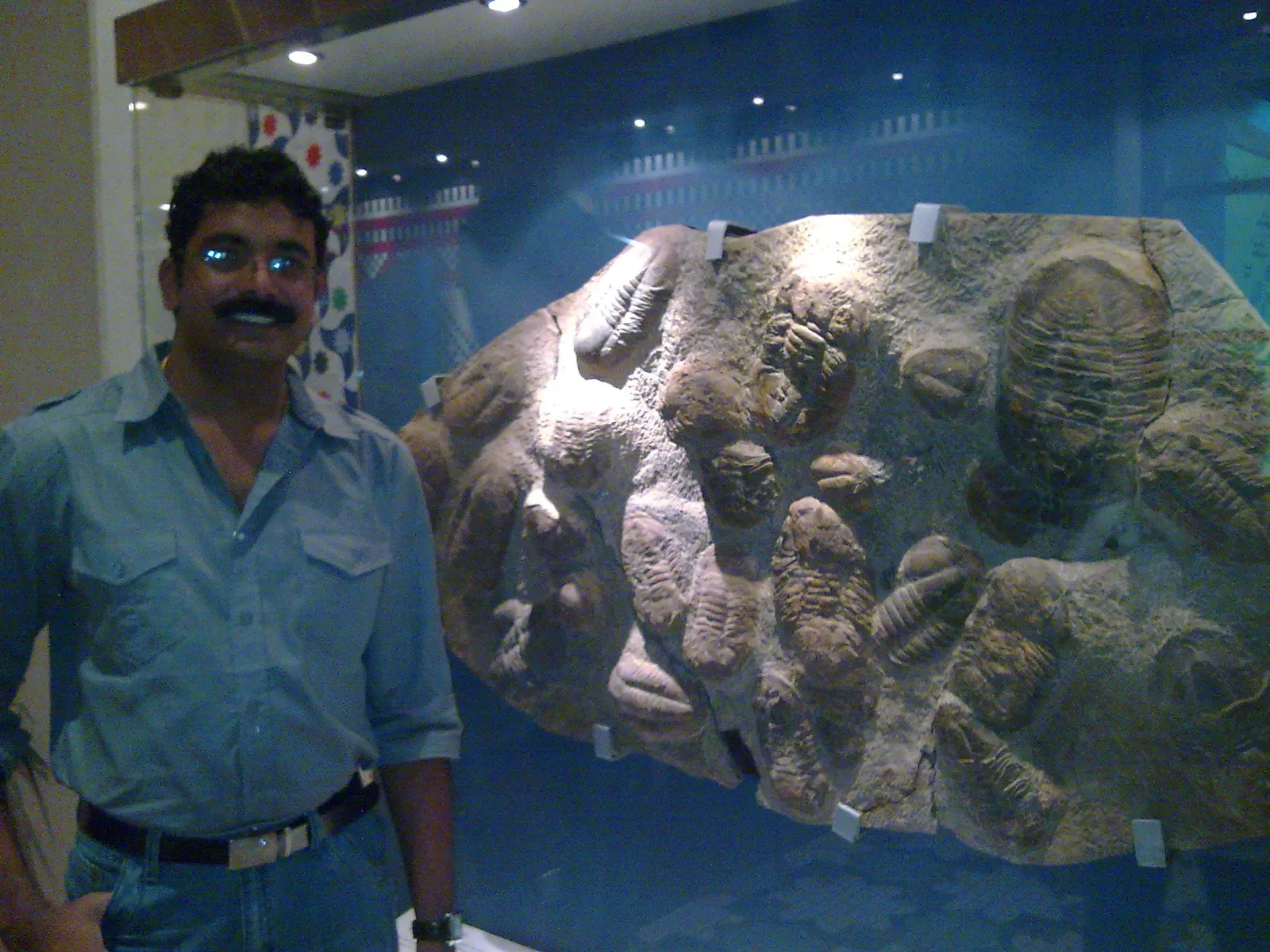 Ancient Seas, Vanished Ecosystems (Image Credits: Wikimedia)