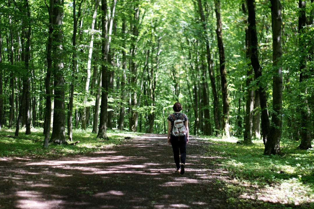 The Hidden Clues (Image Credits: Unsplash)