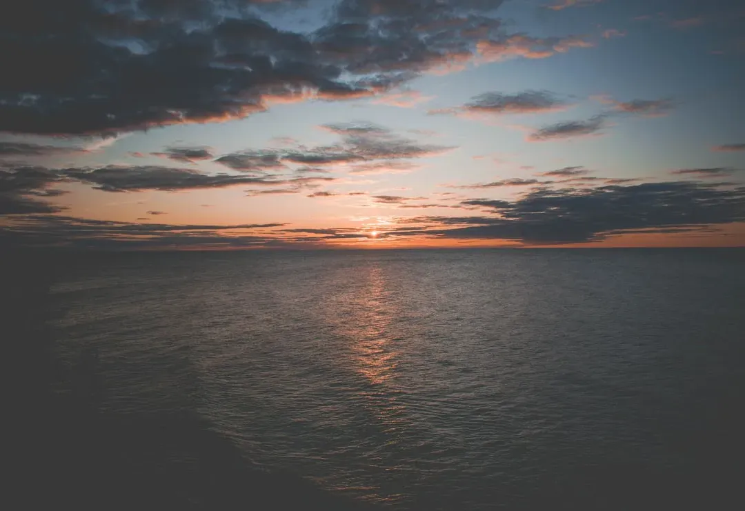 The Very Real Dangers Lurking After Sunset (Image Credits: Unsplash)