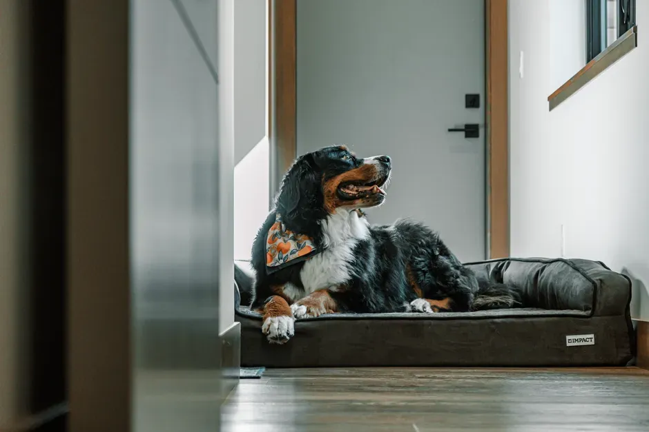 3. The Space You Quietly Reserve Just for Them (Image Credits: Pexels)
