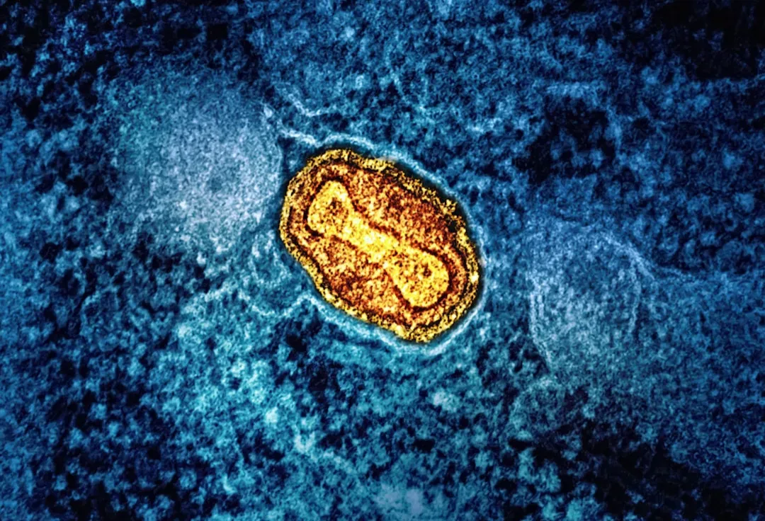 What scientists mean by the Last Universal Common Ancestor (Image Credits: Unsplash)