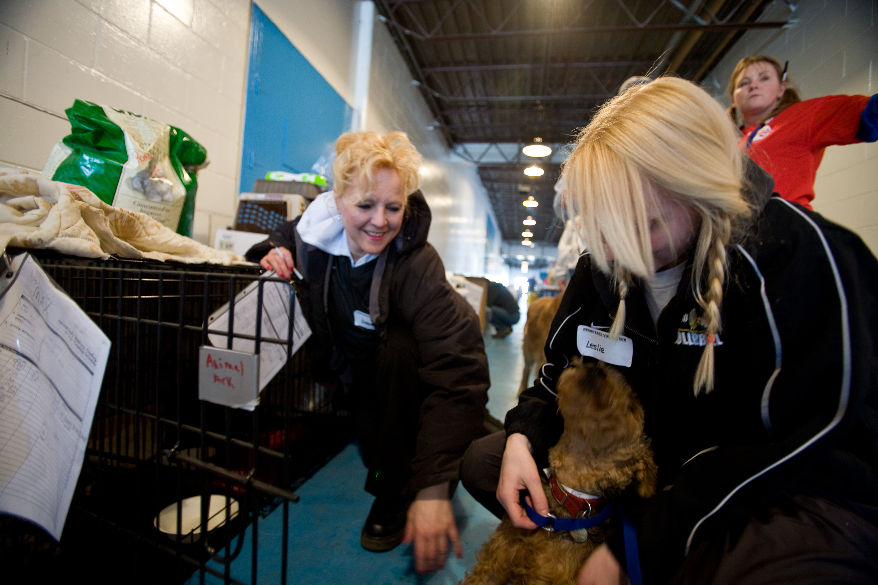 Conclusion: What You Can Do Now (Image Credits: Wikimedia)