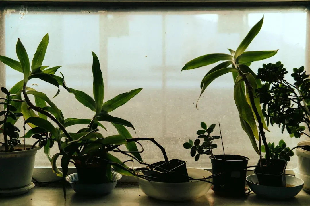 5. Hormone Signals Acting Like Mood Shifts (Image Credits: Unsplash)