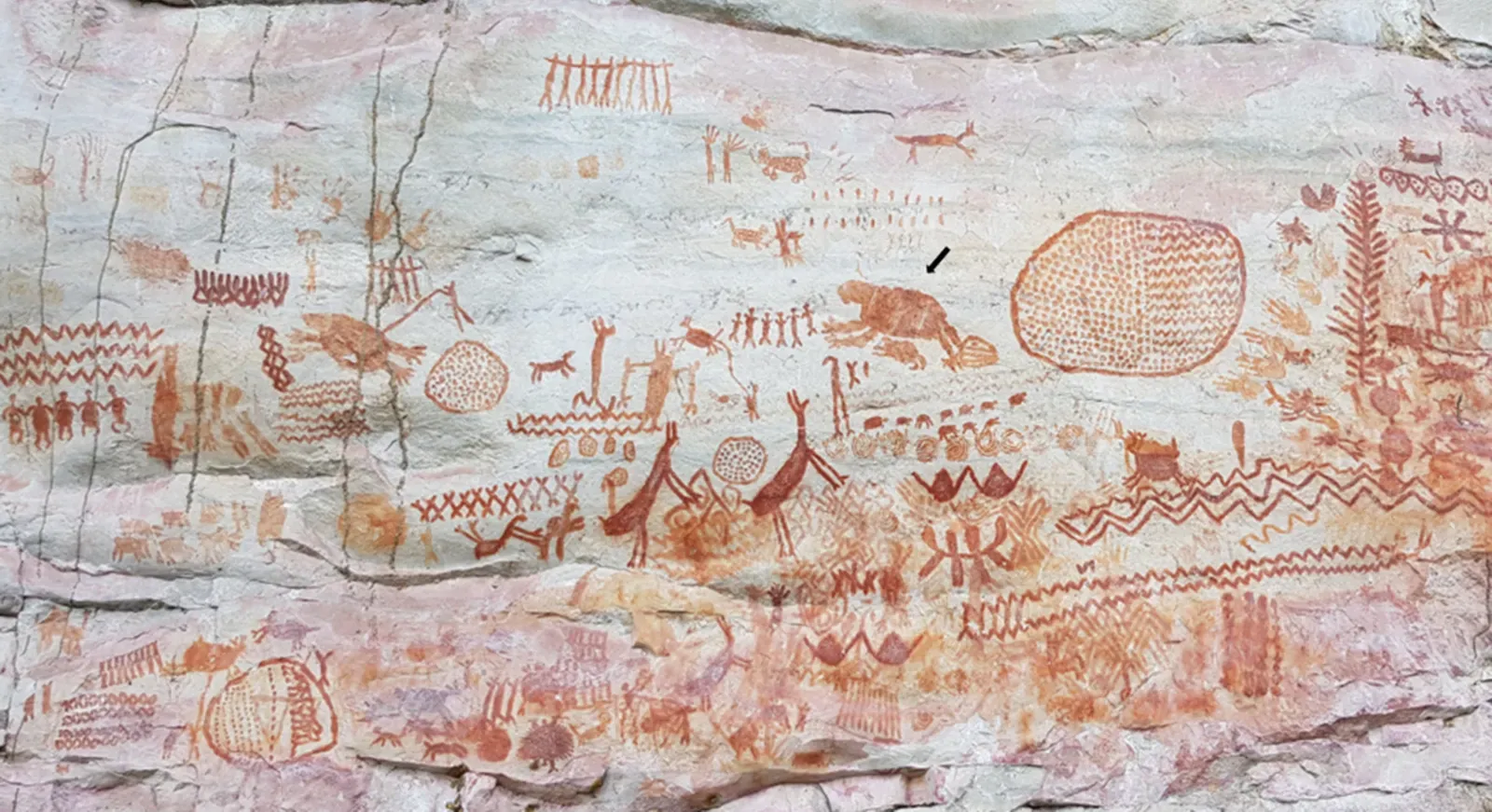 #12 - Proboscidean Silhouettes Hidden in Colombian Rock Shelters (José Iriarte, Michael J. Ziegler, Alan K. Outram, Mark Robinson, Patrick Roberts, Francisco J. Aceituno, Gaspar Morcote-Ríos and T. Michael Keesey: Ice Age megafauna rock art in the Colombian Amazon? Philosophical Transactions of the Royal Society B377: 2022, pp. 20200496 (fig. 2), doi:10.1098/rstb.2020.0496, CC BY 4.0)