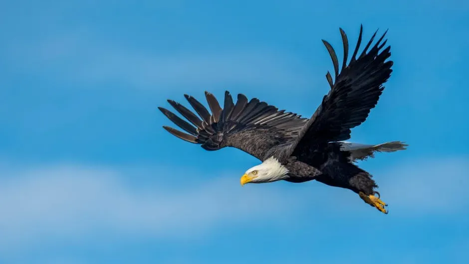 The Eagle: Vision, Courage, and the Bigger Picture (Image Credits: Pexels)
