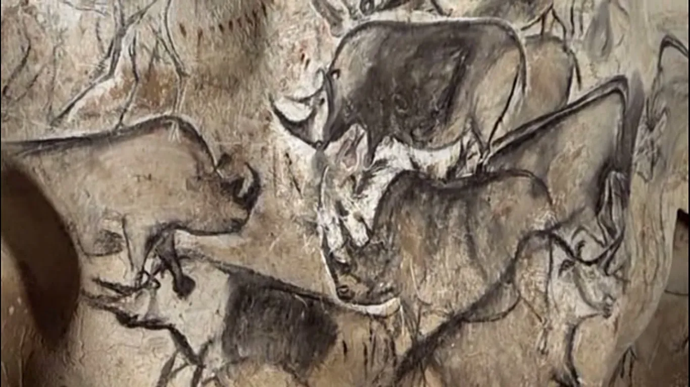 #17 - Woolly Rhino Engravings at Chauvet (Screenshot from the film "Cave of Forgotten Dreams", Public domain)
