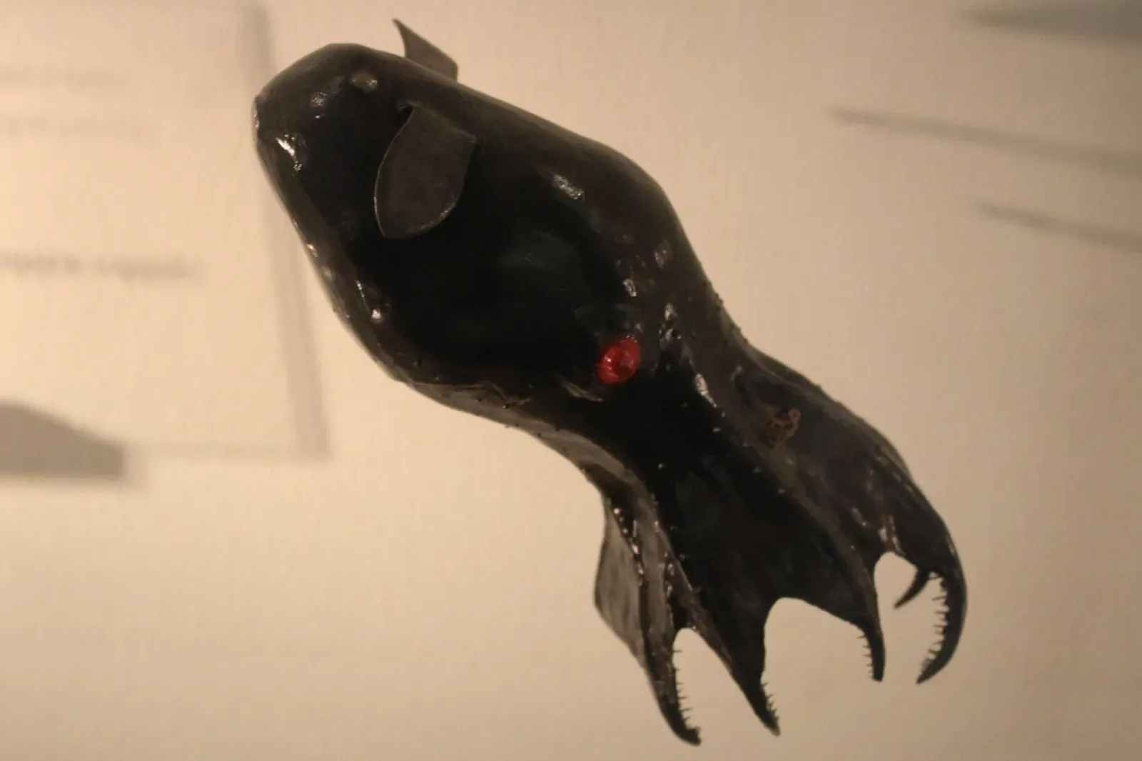 Vampire Squid: The Glowing Mucus Defense (Image Credits: Wikimedia)