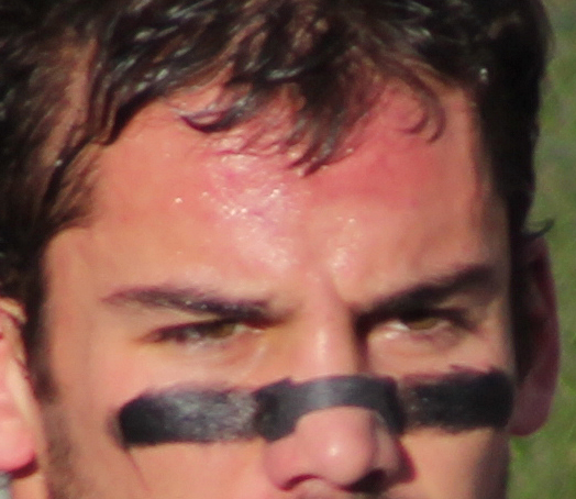 The Sweating Revolution: Nature's Air Conditioning System (Image Credits: Wikimedia)