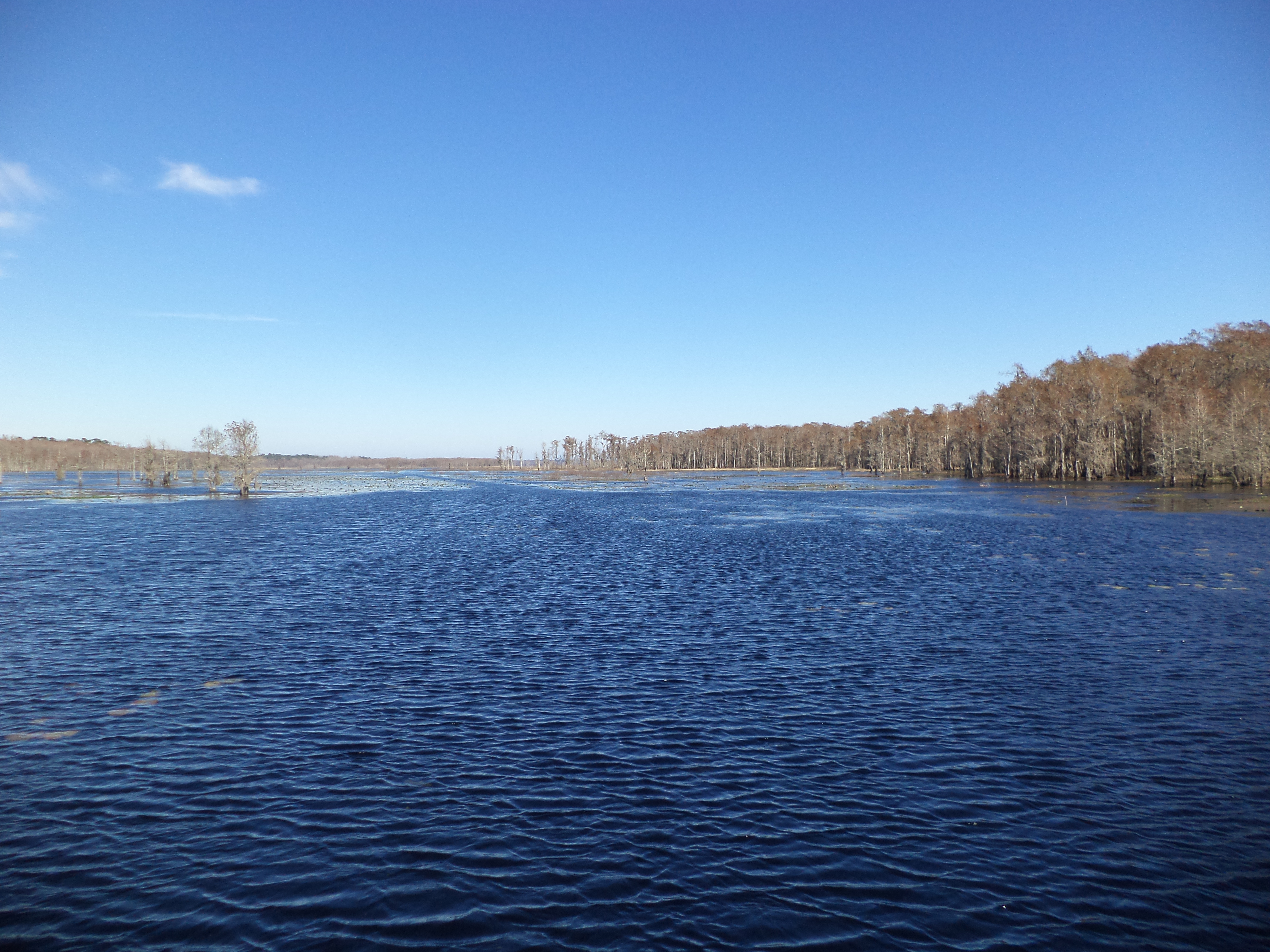 Lake Miccosukee, Florida: A Managed Disappearing Act (Image Credits: Wikimedia)