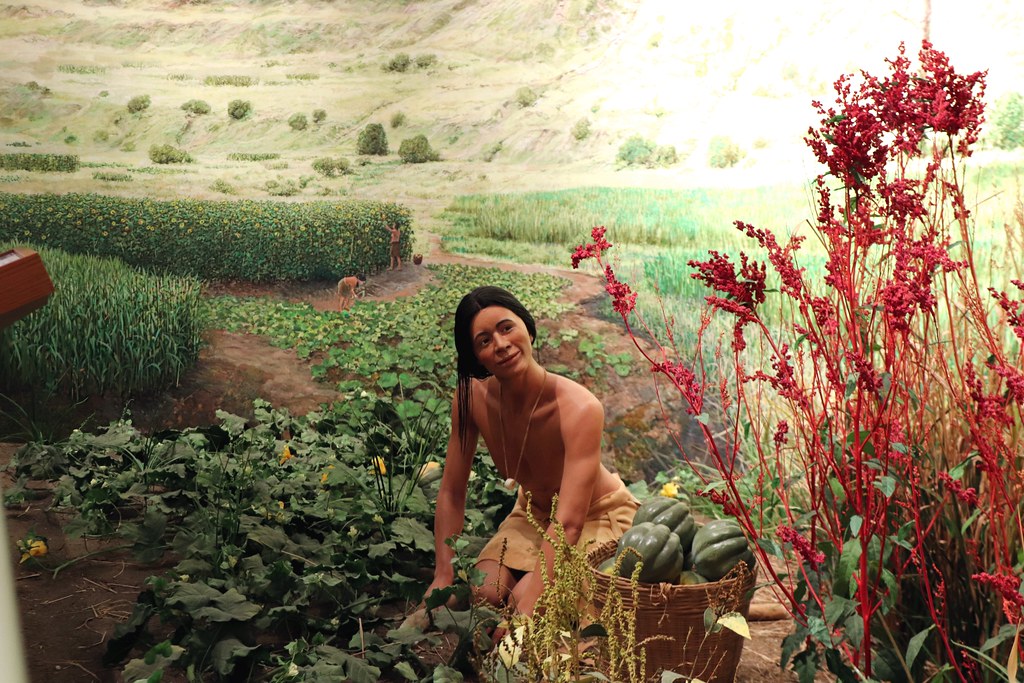 Advanced Agricultural Systems and Trade Networks (Image Credits: Flickr)