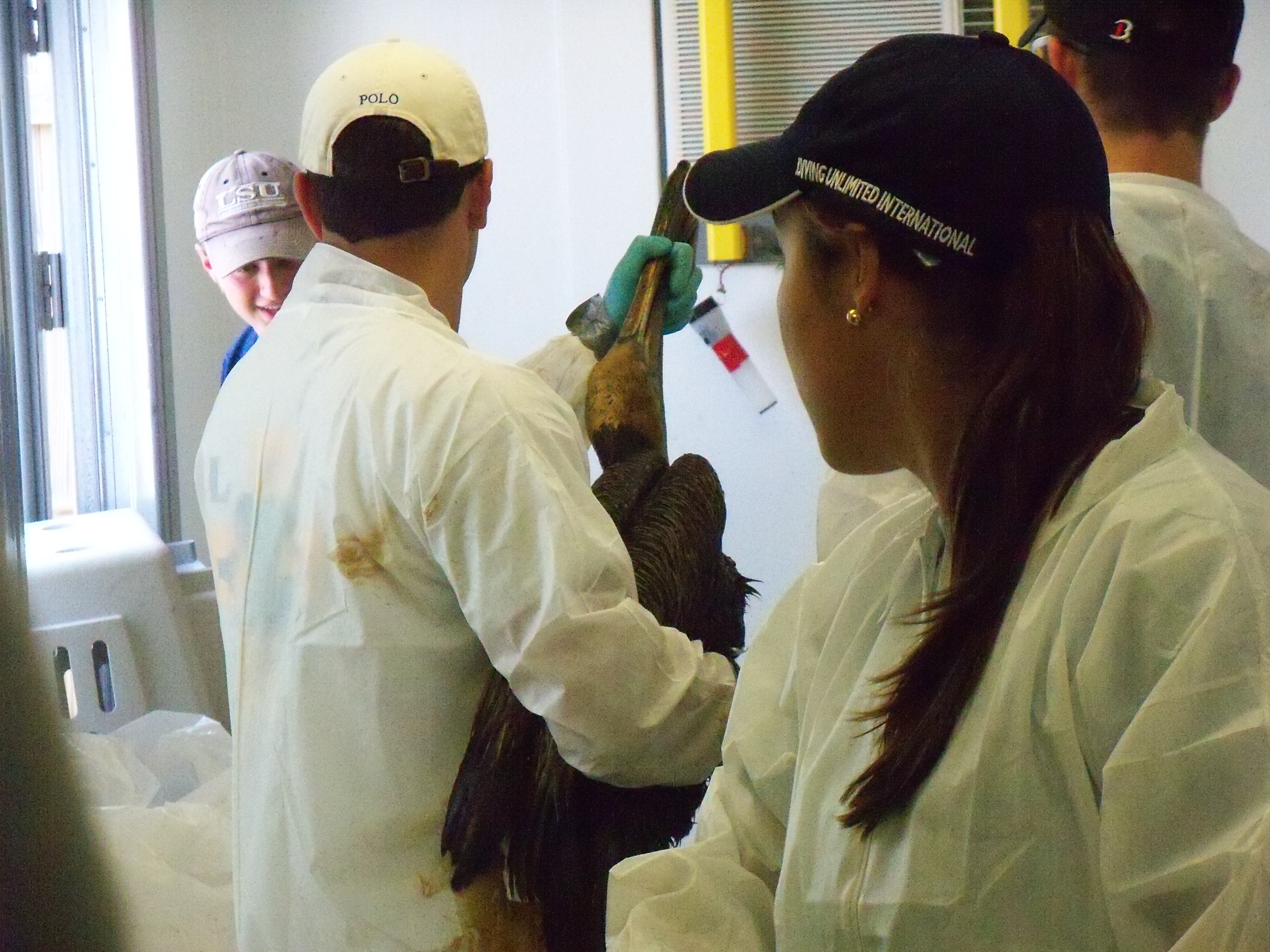 The Hidden Clues (Image Credits: Wikimedia)