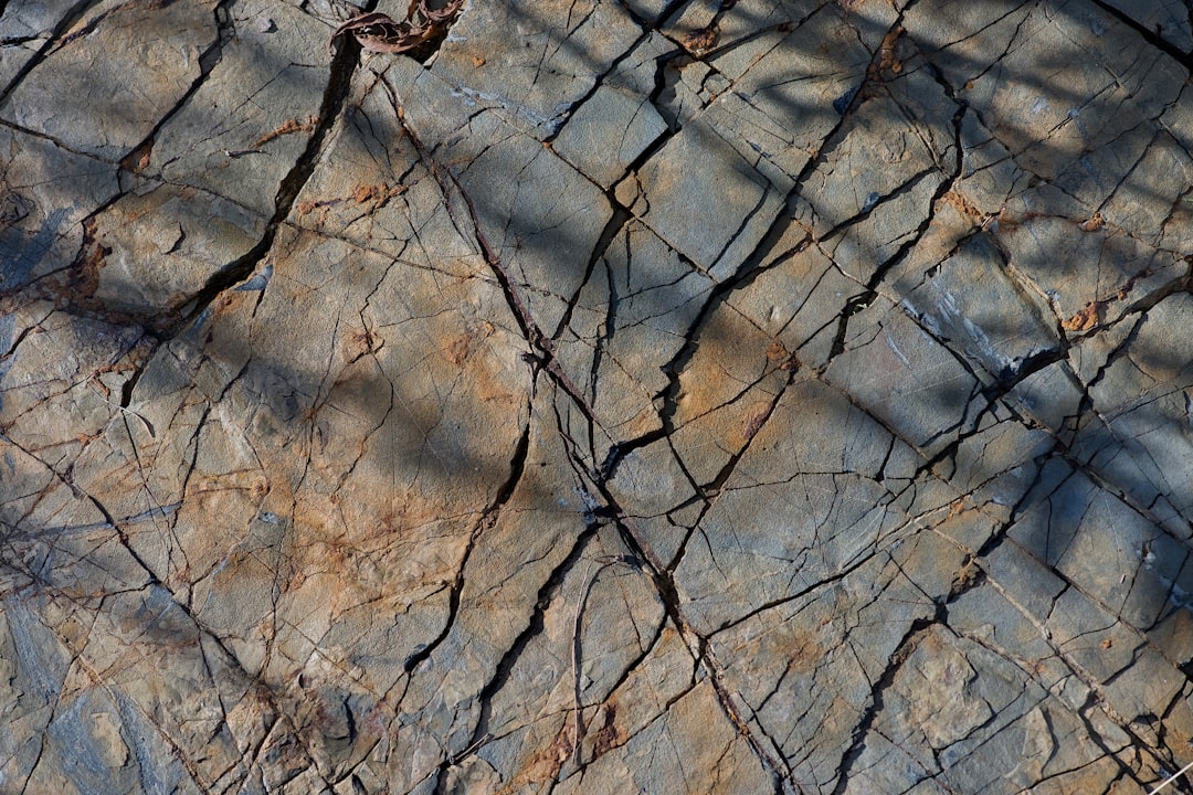 The Hidden Clues (Image Credits: Unsplash)